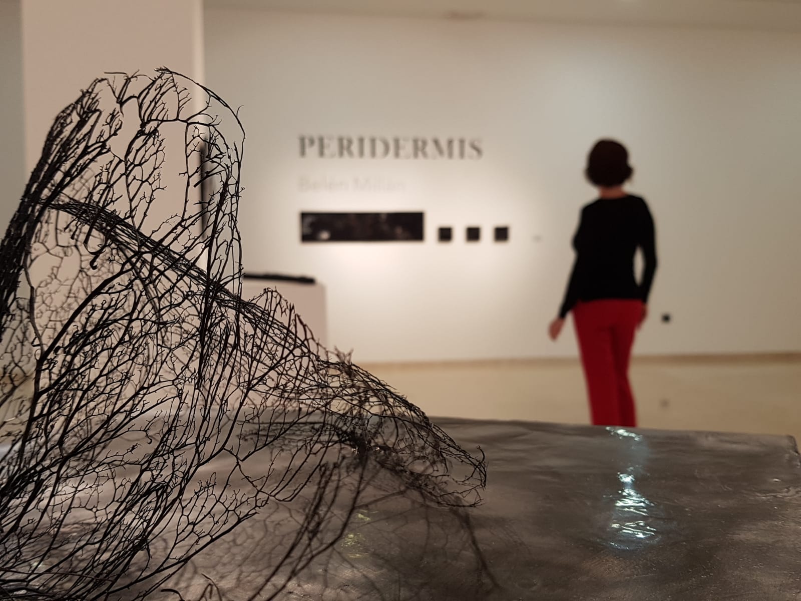 Peridermis Solo Show – Sala de exposiciones Alhaurin el Grande, Malaga, December 2018